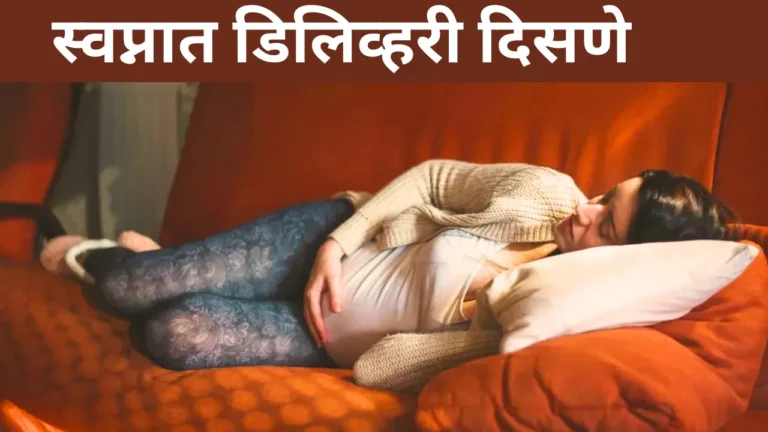 Swapnat Delivery Disne