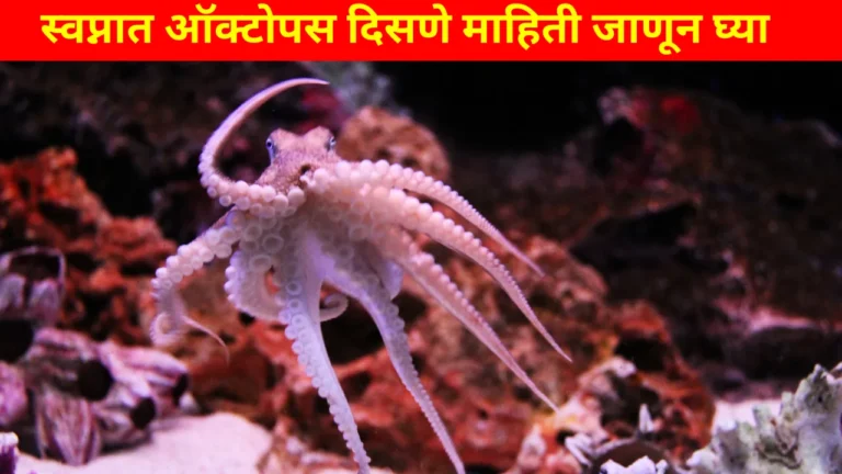 Swapnat Octopus Disne in Marathi