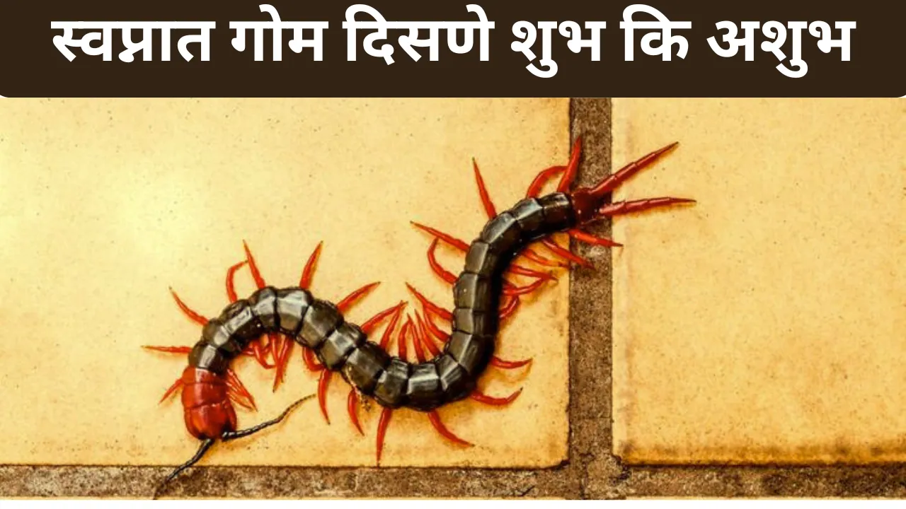 Swapnat Gom Disne in Marathi