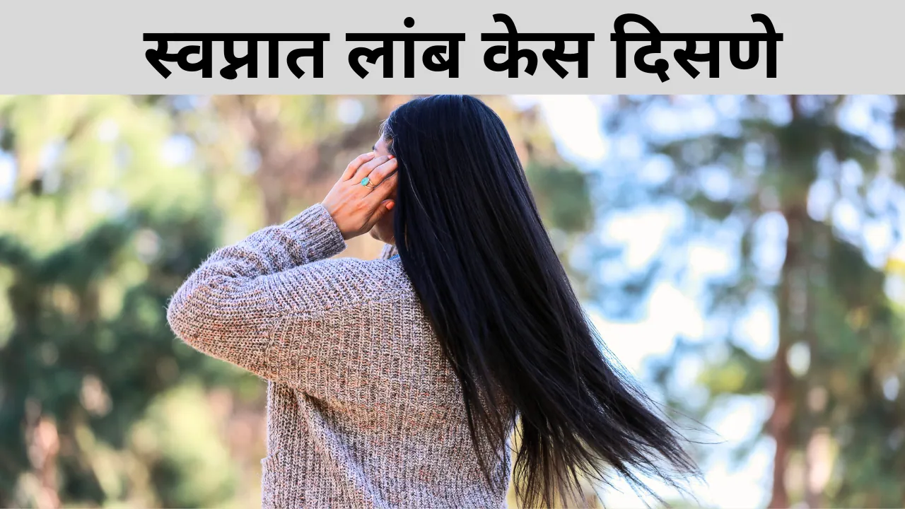 Swapnat Lamb Kes Disne