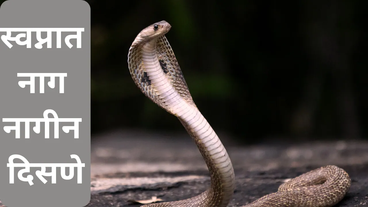 Swapnat Nag Nagin Disne