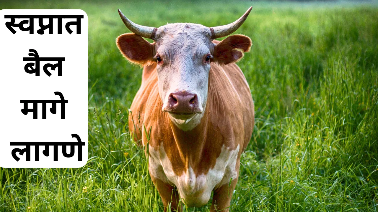 Swapnat Bail Mage Lagne