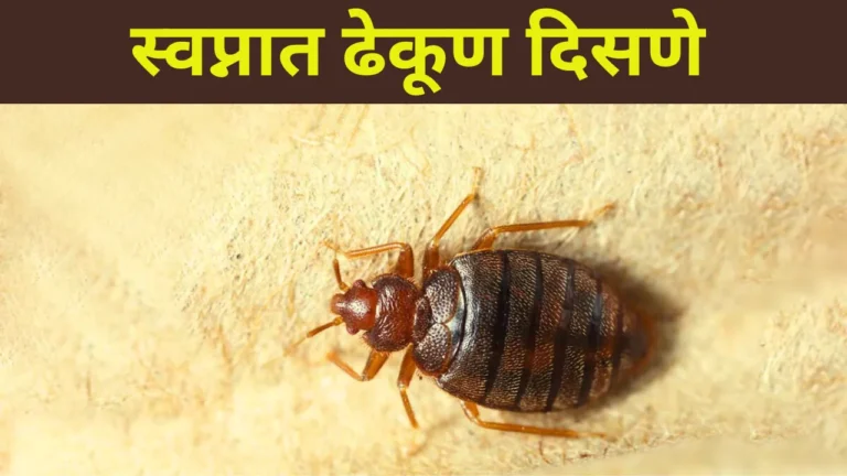 Swapnat Dhekun Disne