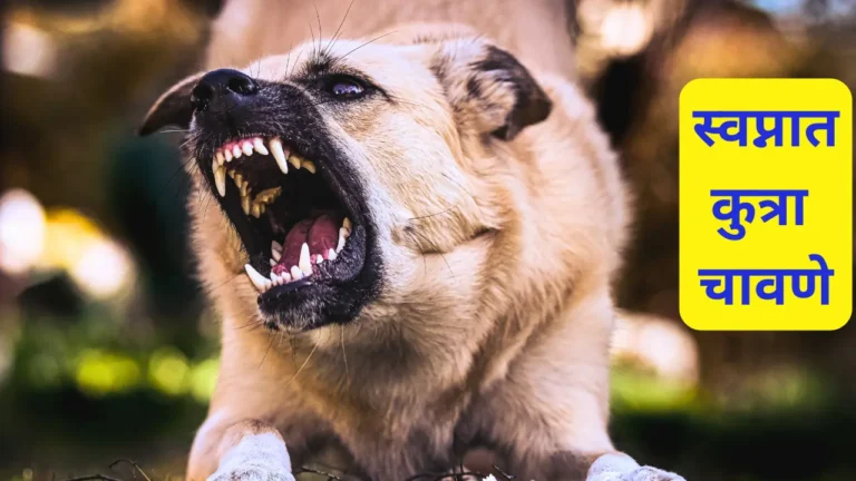 Swapnat Kutra Chavane