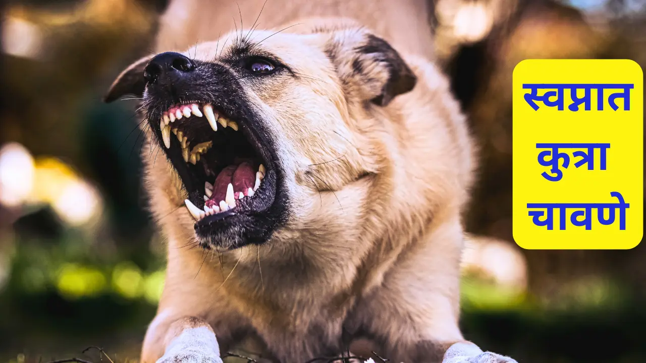 Swapnat Kutra Chavane