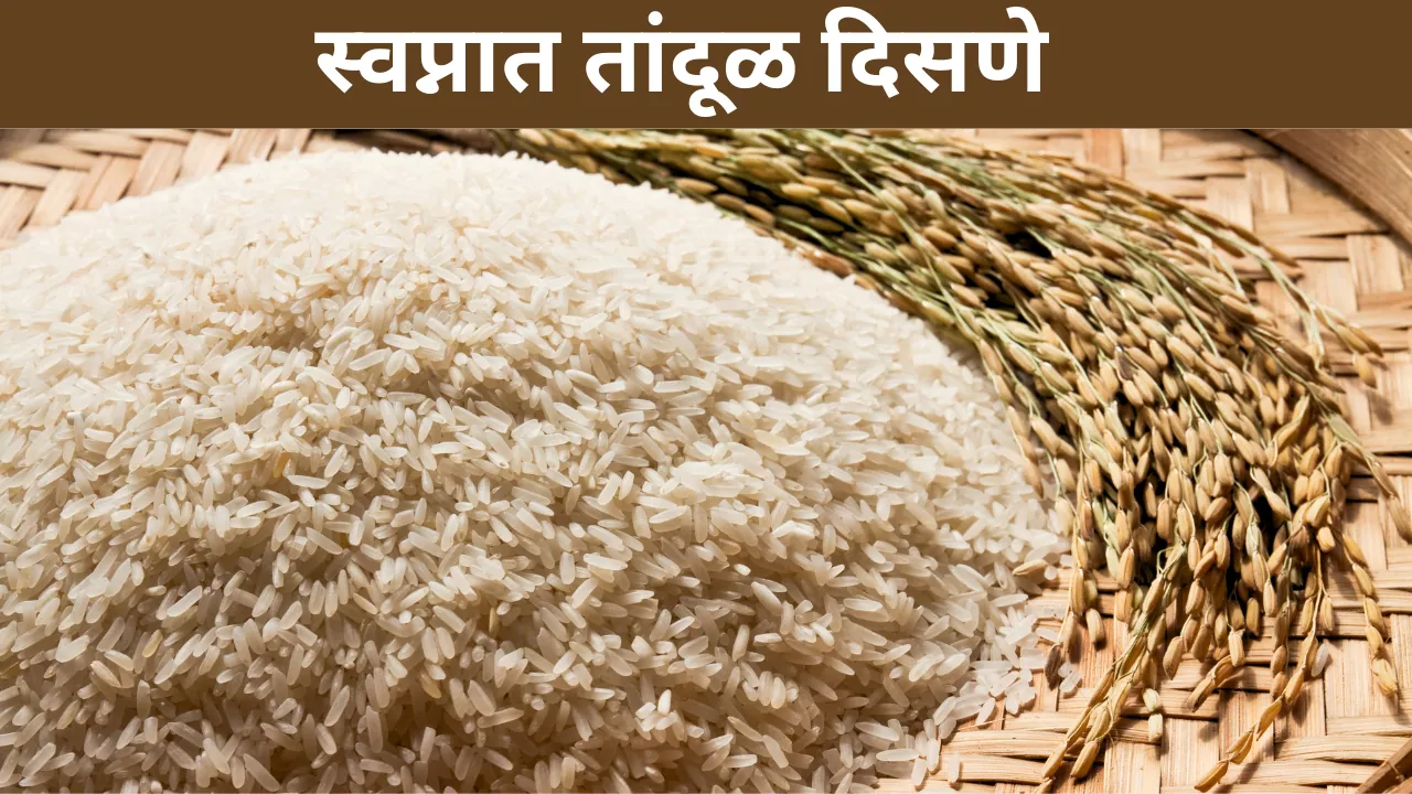 Swapnat Tandul Disne