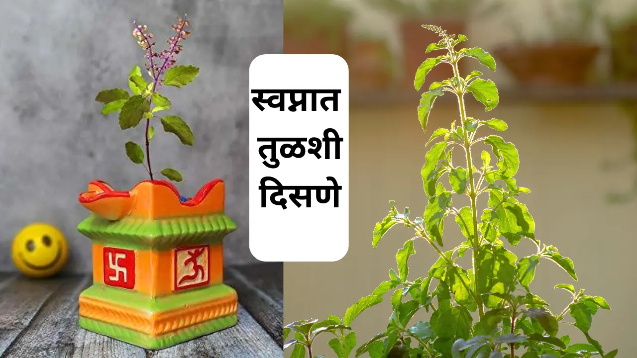 Swapnat Tulsi Disne