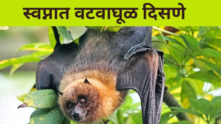 Swapnat Vatvaghul Disne