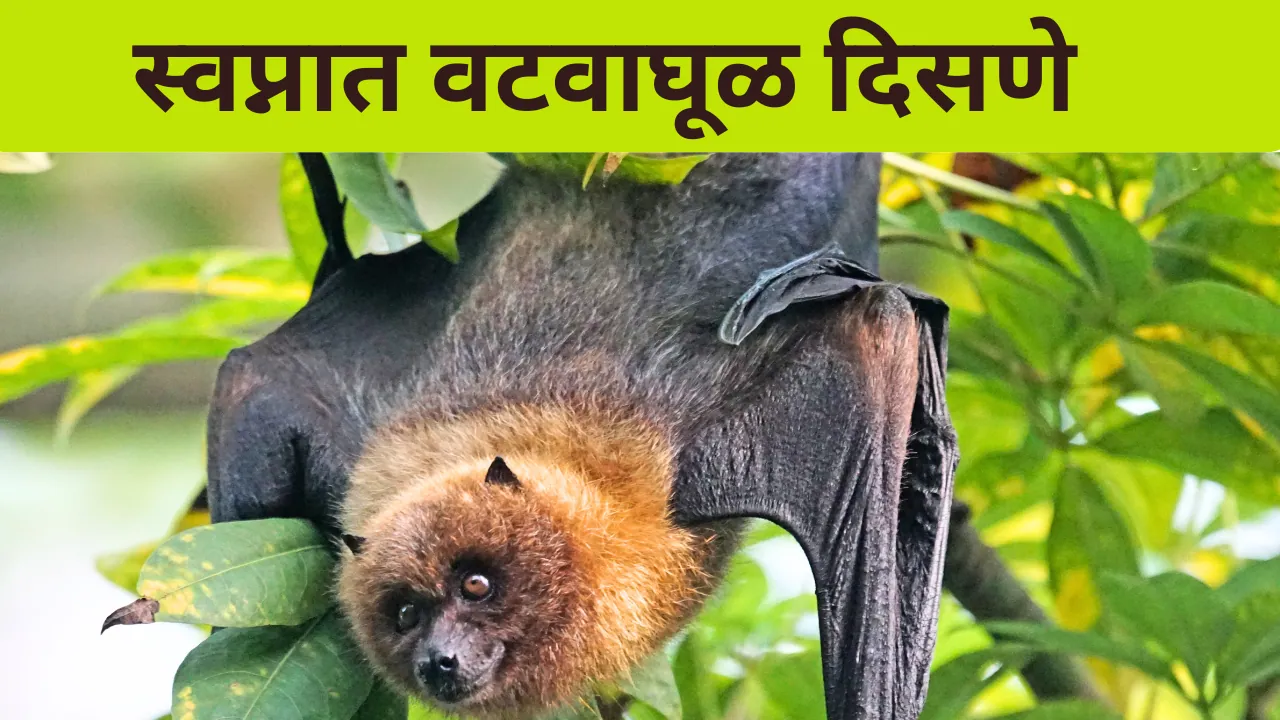 Swapnat Vatvaghul Disne