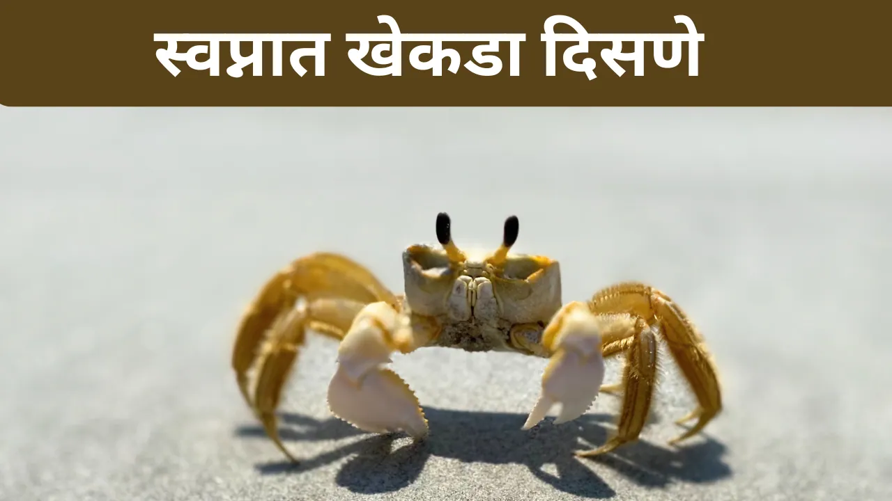 Swapnat Khekda Disne