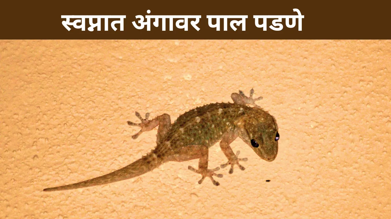 Swapnat Pal Angavar Padne