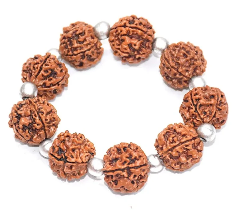 Swapnat Rudraksh Disne