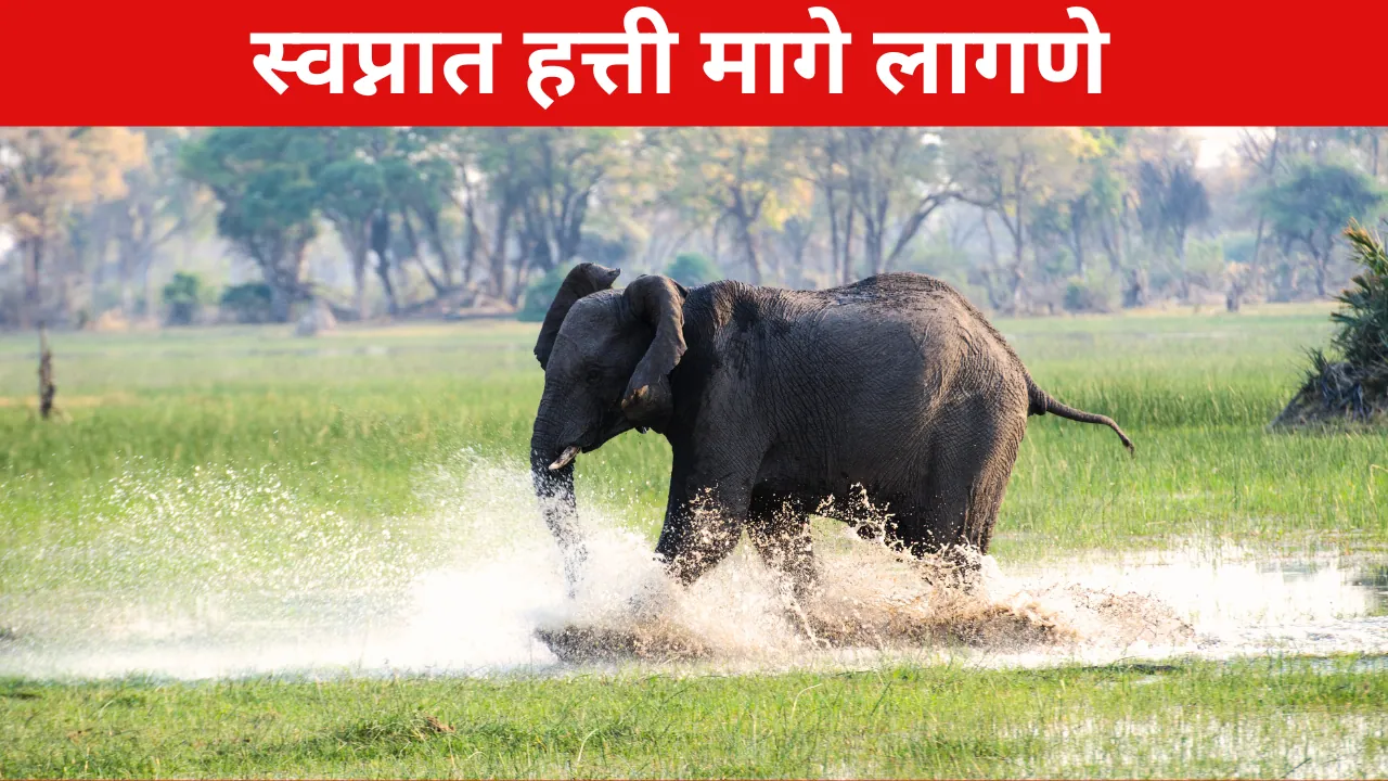 Swapnat Hatti Mage Lagne