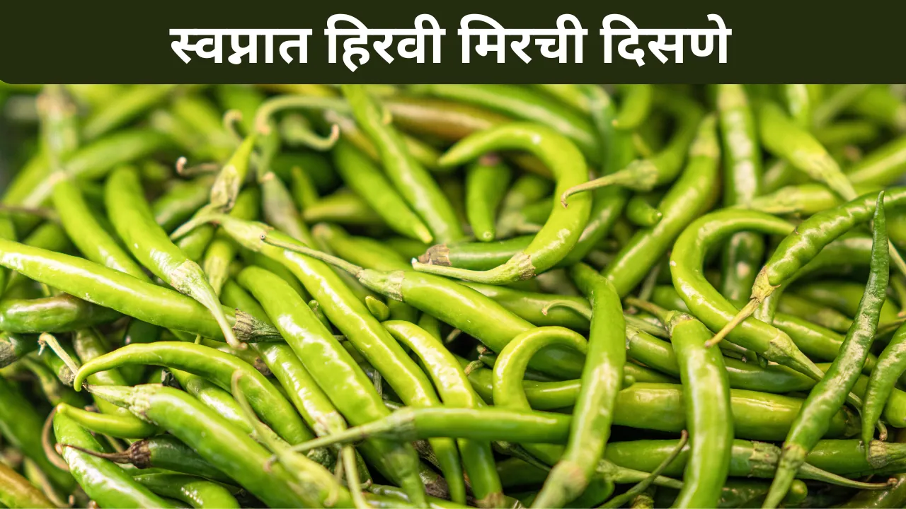 Swapnat Hirvi Mirchi Disne