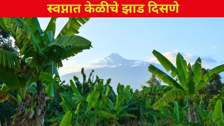 Swapnat Keliche Zad Disne