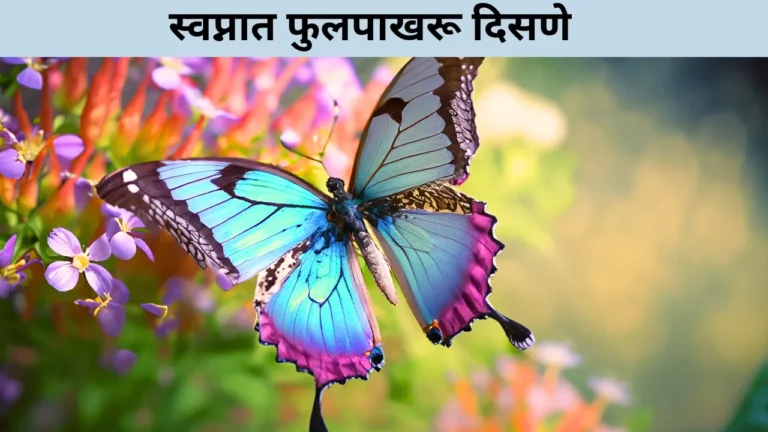 Swapnat Fulpakhru Disne