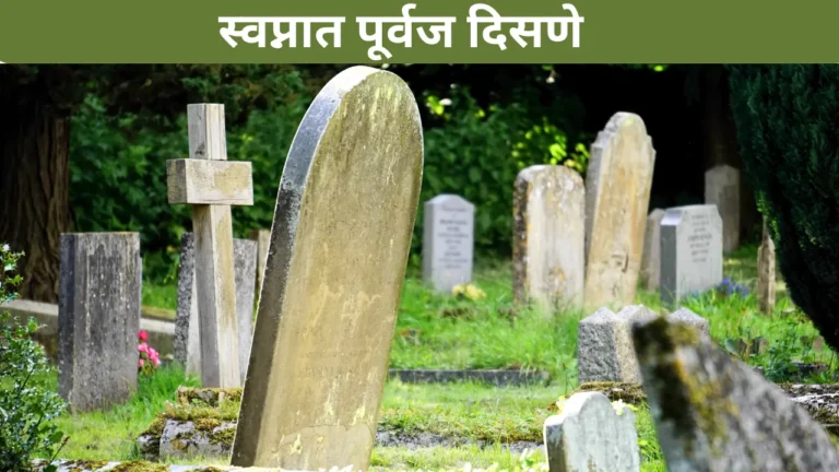 Swapnat Purvaj Disne